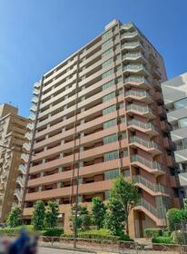 東京都文京区大塚５丁目