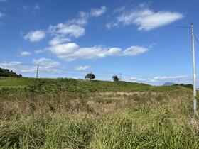 大分県大分市大字辻原
