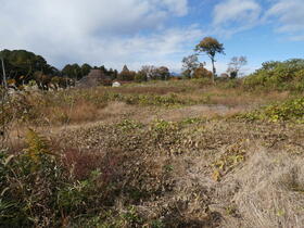 栃木県さくら市下河戸