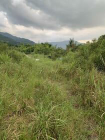 福岡県嘉麻市熊ヶ畑