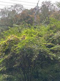 和歌山県紀の川市桃山町垣内