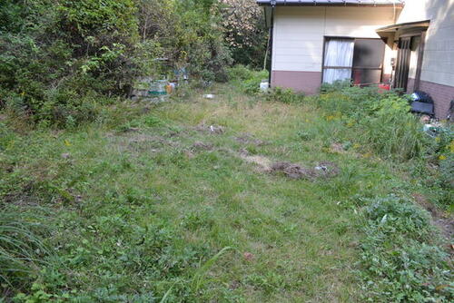 Image 32
