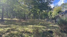 山梨県南都留郡山中湖村平野