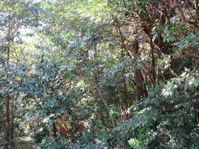 三重県四日市市六名町