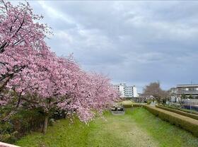 栃木県宇都宮市泉が丘７丁目