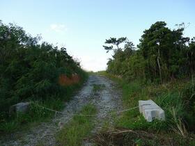 沖縄県名護市字辺野古