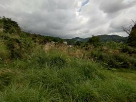 鹿児島県霧島市牧園町高千穂