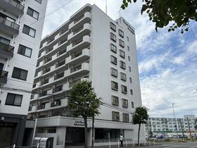 ライオンズマンション中の島通り