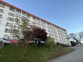 カメリアコーポラス