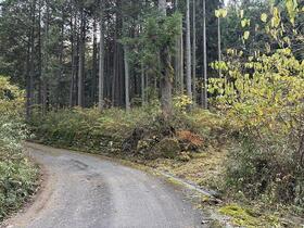 岐阜県下呂市萩原町野上