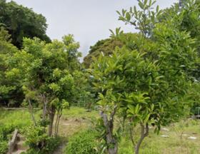 神奈川県横須賀市汐入町２丁目