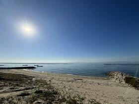 愛知県知多郡美浜町大字奥田字石亀