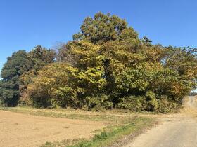 茨城県結城郡八千代町大字村貫