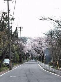 秋田県秋田市将軍野南１丁目