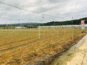 沖縄県うるま市石川