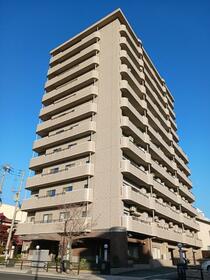 ネオステージ三日町　１１階部分