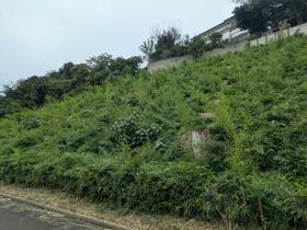 千葉県佐倉市臼井