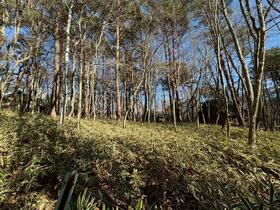山梨県北杜市高根町清里