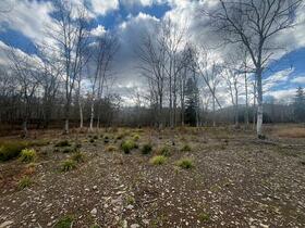北海道磯谷郡蘭越町字川上