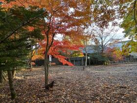 長野県北佐久郡軽井沢町大字長倉
