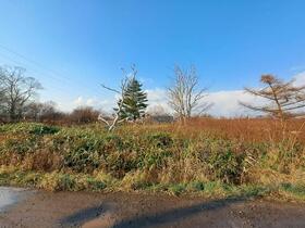 北海道札幌市東区中沼町