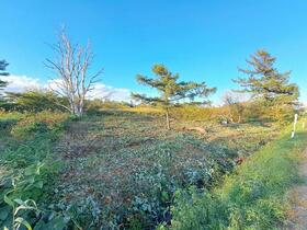 北海道札幌市東区中沼町
