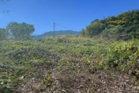 福岡県行橋市大字長尾