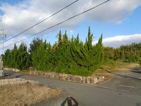 三重県桑名市大字森忠