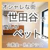 世田谷駅より徒歩6分 2階 築2年9ヶ月の賃貸物件