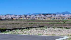 栃木県さくら市大中