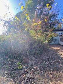 茨城県稲敷郡美浦村大字土屋