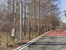 山梨県北杜市大泉町西井出