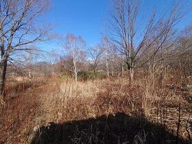 北海道札幌市南区北ノ沢