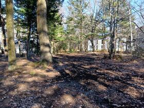 長野県北佐久郡軽井沢町大字長倉