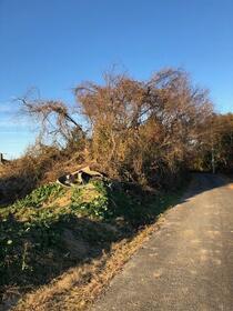福島県郡山市日和田町梅沢字瀬戸山