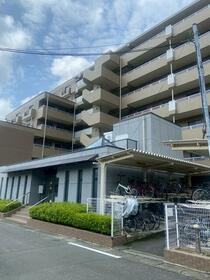 オルテンシア開成