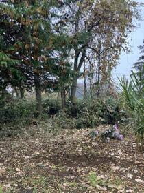 茨城県結城郡八千代町大字若