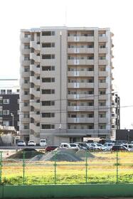 ラフィーネ道後