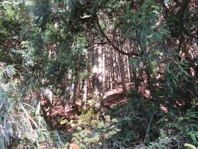 三重県伊賀市比自岐