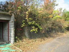 三重県伊賀市白樫