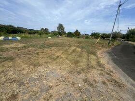 大分県中津市大字全徳