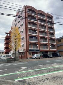 新川メゾーン