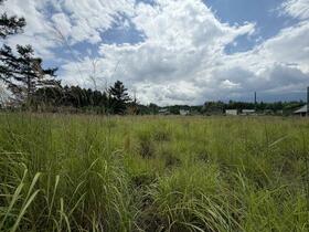 山梨県南都留郡忍野村忍草