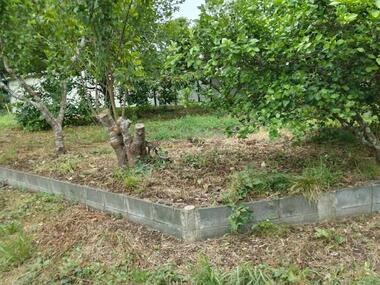 代表画像_外観@212055282102