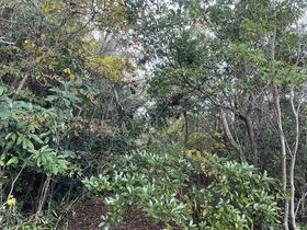 三重県志摩市阿児町国府