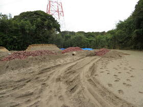 静岡県御前崎市白羽