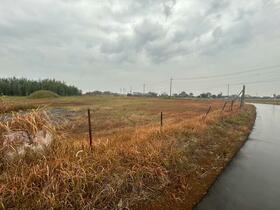 茨城県稲敷市西の洲