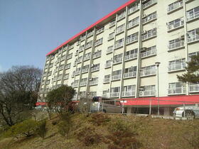 カメリヤ・コーポラス