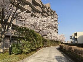 宮城県仙台市泉区市名坂字本屋敷
