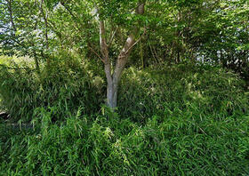 千葉県八街市八街い